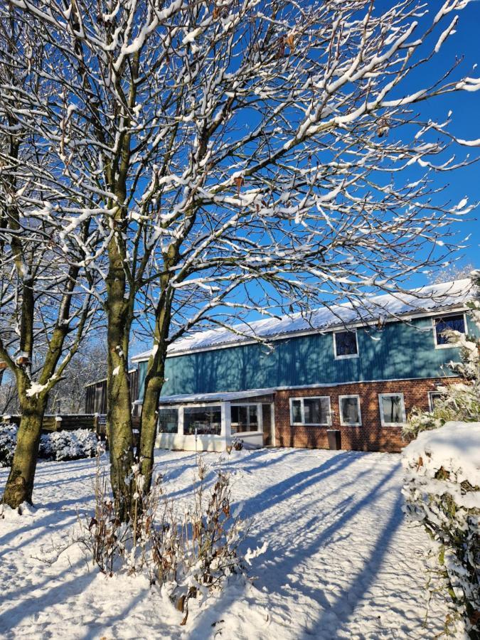 Ferienwohnung Sort Sol Grellsbuelldeich 7 Aventoft エクステリア 写真
