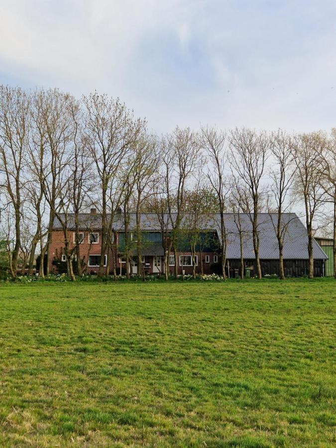 Ferienwohnung Sort Sol Grellsbuelldeich 7 Aventoft エクステリア 写真