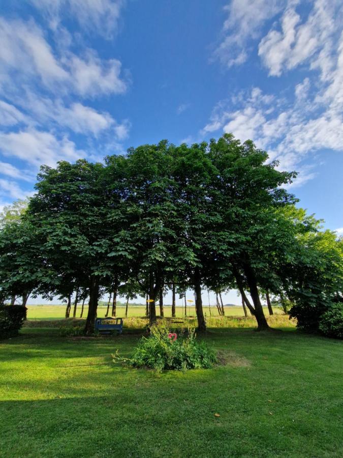 Ferienwohnung Sort Sol Grellsbuelldeich 7 Aventoft エクステリア 写真