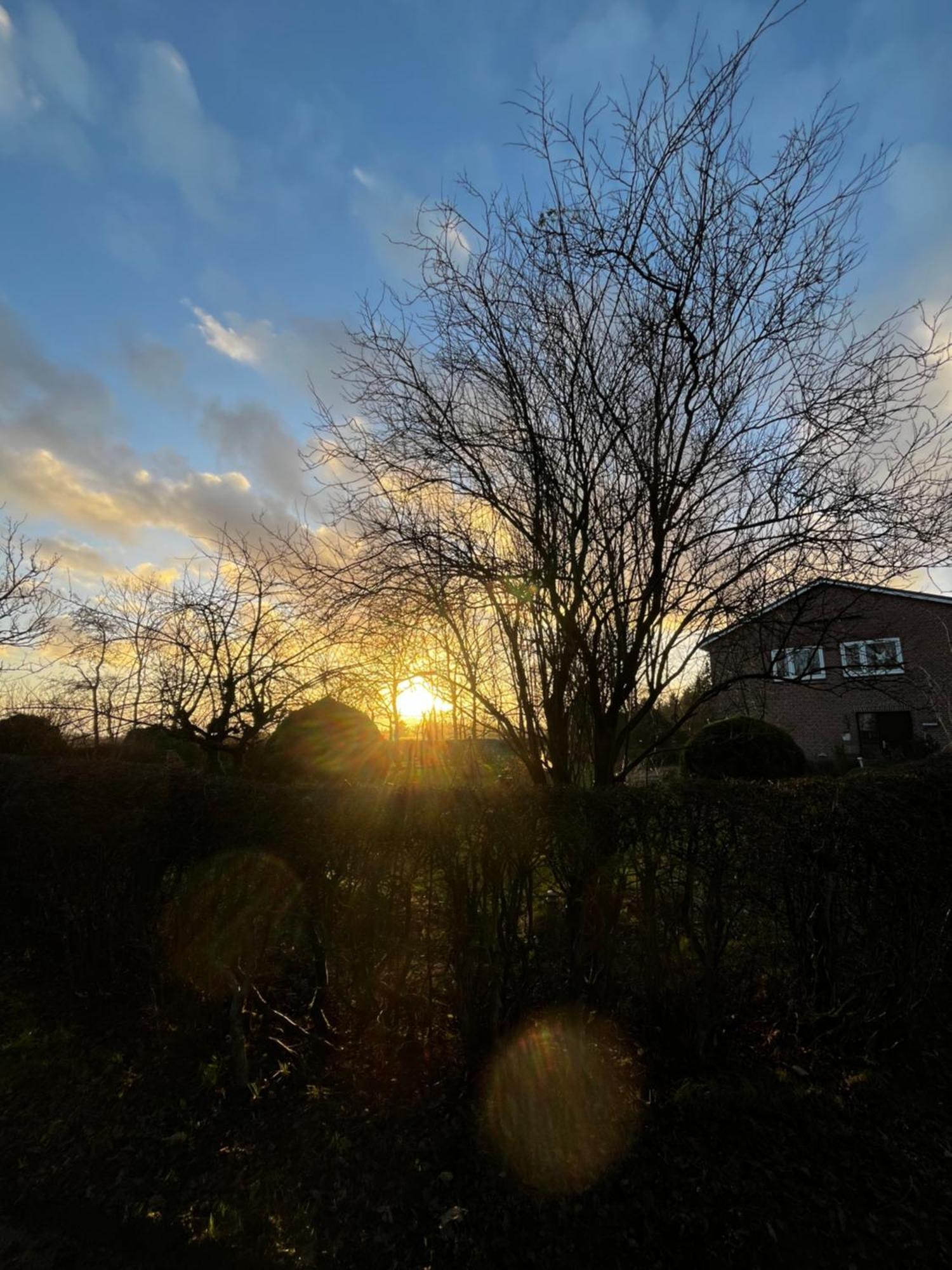 Ferienwohnung Sort Sol Grellsbuelldeich 7 Aventoft エクステリア 写真